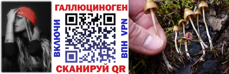 Купить закладки  Барабинск  Псилоцибиновые грибы прущие грибы 